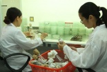 Lỗ hổng trong ứng dụng khoa học vào nông nghiệp